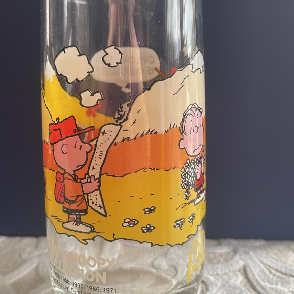 McDonald’s Camp Snoopy Collection “Civilization is Overrated” Collectible Glass - Picture 11 of 12